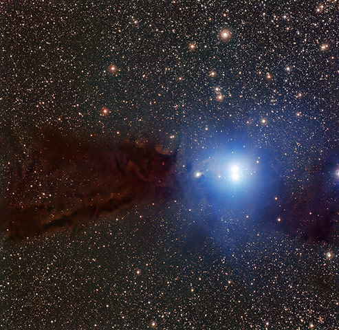 A month in space: The Lupus 3 dark cloud and associated hot young stars