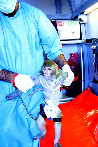 A month in space: Iranian space agency launches monkey into space, Iran - 28 Jan 2013