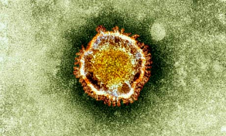 Coronavirus,%20shown%20under%20an%20electron%20microscope