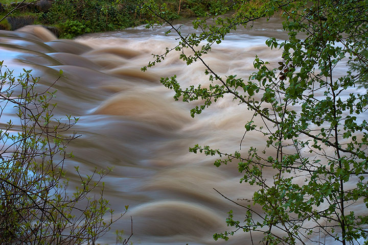 Your Pictures - Flow: flow of river over rocks with green shubbery in foreground
