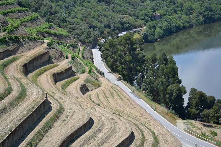 Your Pictures - Flow: river and road and vine terraces running alongside each other
