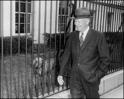 First Dogs: First Dogs