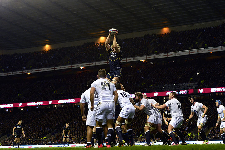 England v Scotland: Richie Gray claims a line out