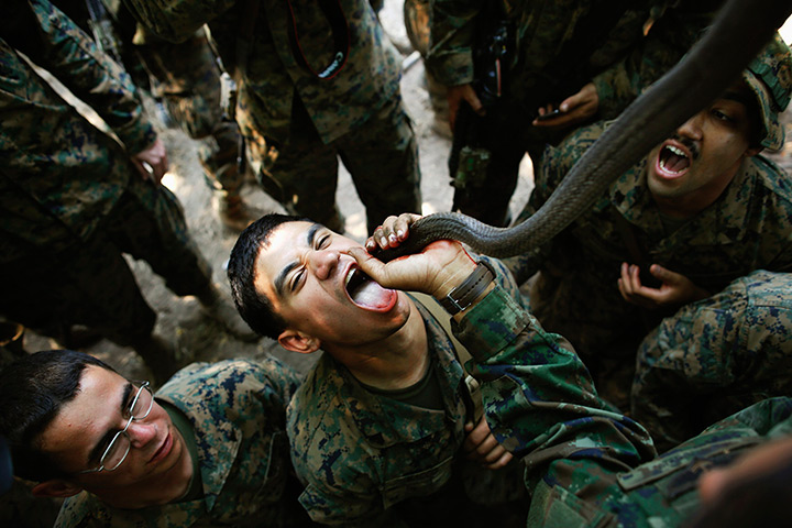 24 hours: Chon Buri province, Thailand: A US Marine drinks the blood of a cobra