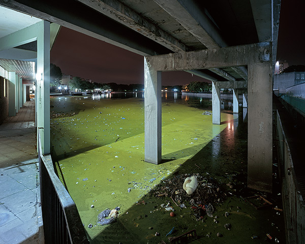 CIWEM competition winners: Swan on Nest of Rubbish, SE2, 2010