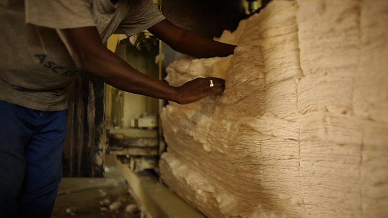 Fairtrade: Once ginned, the cotton fiber is then cleaned and smoothed