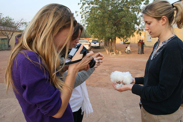 Fairtrade: The harvested mass is run through the gins