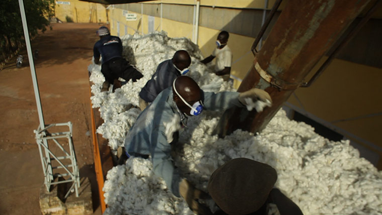 Fairtrade: Workers at the cotton gins