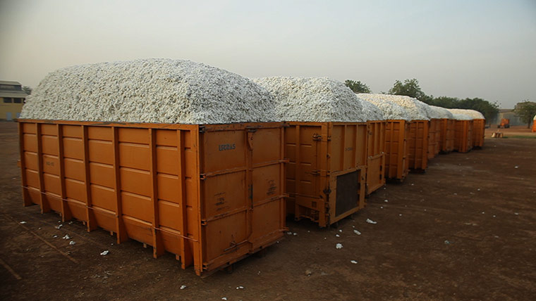 Fairtrade: Sodefitex's gins at Tambacounda