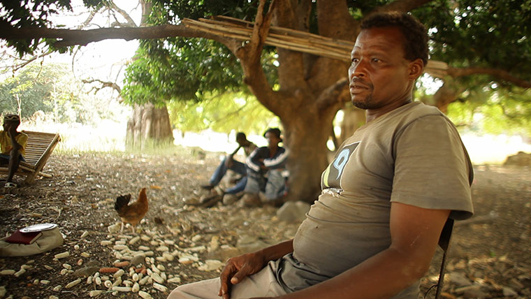 Fairtrade: Local cotton growers