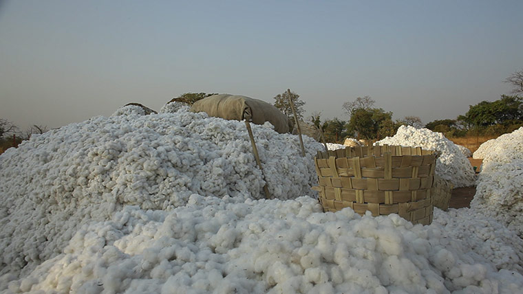 Fairtrade: The cotton market at the village of Segou