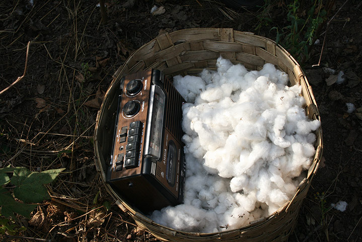 Fairtrade: Harvest time at the Village of Thiekouthian