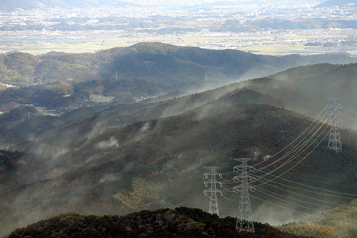 Week in wildlife: Japanese cedar pollen blown by northwest wind scatters