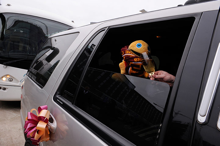 capital one final 2: Zippy of Rainbow fame