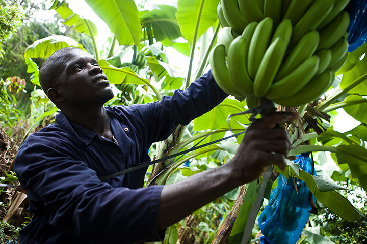 Fairtrade gallery: Fairtrade gallery