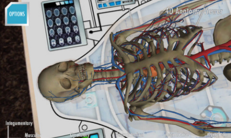 Anatomy 4D