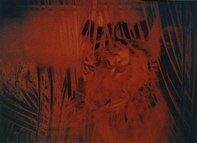 Guardian Camera Club: A review of Richard P J Lambert's portfolio