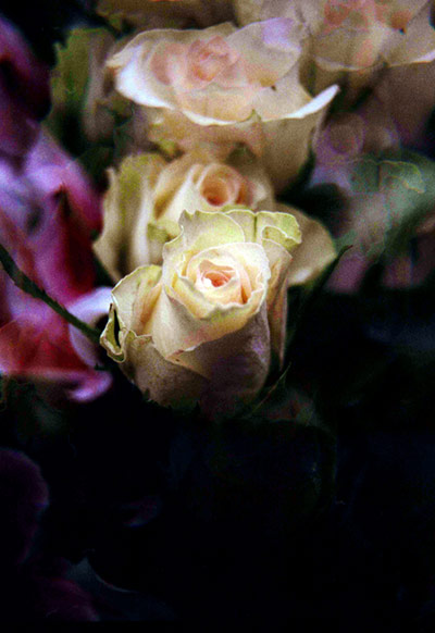 Guardian Camera Club: A review of Richard P J Lambert's portfolio