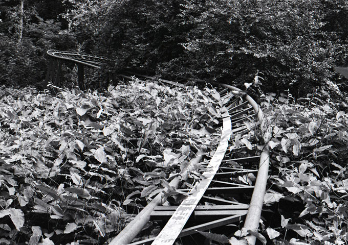 Guardian Camera Club: A review of Richard P J Lambert's portfolio