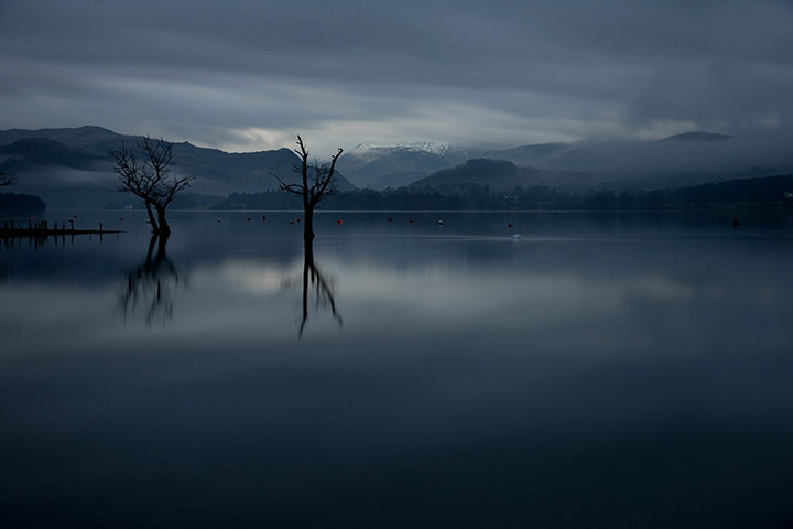 Guardian Camera Club: A review of Elaine Z's portfolio