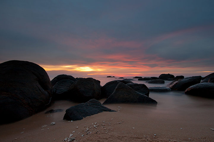 Guardian Camera Club: A review of Elaine Z's portfolio