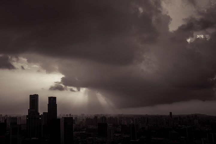 Guardian Camera Club: A review of Elaine Z's portfolio