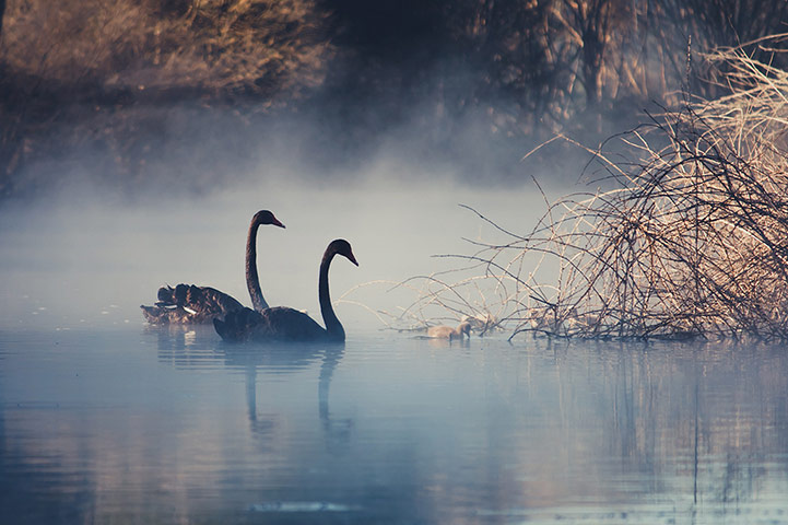 Guardian Camera Club: A review of Elaine Z's portfolio