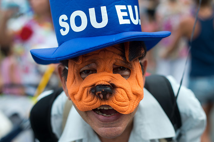 Animal carnival in Rio