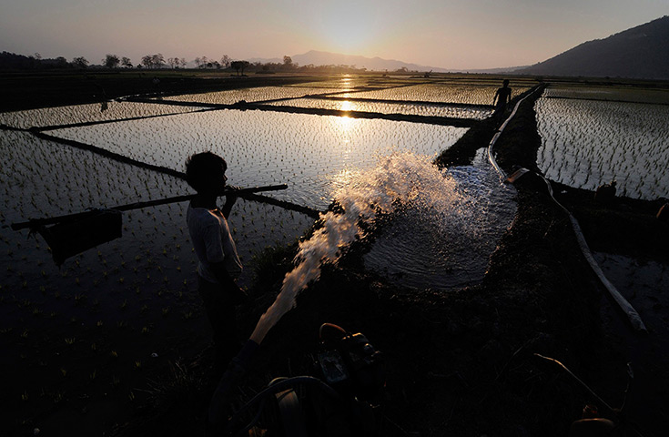 24 hours: Marigaon district, India: Farmers, silhouetted against the setting sun