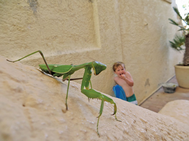 National Geographic Kids: 2012 International Photography Contest for Kids 