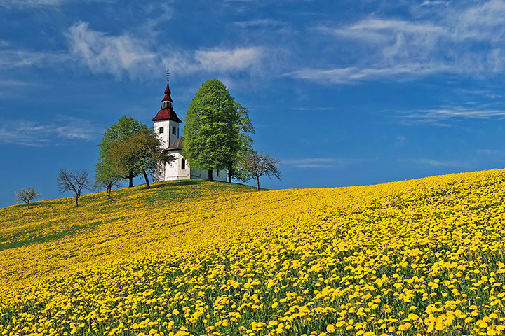 National Geographic Kids: 2012 International Photography Contest for Kids 