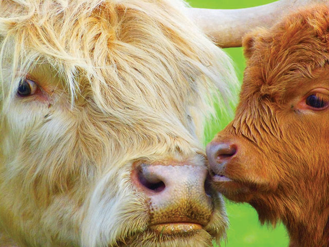 National Geographic Kids: 2012 International Photography Contest for Kids 