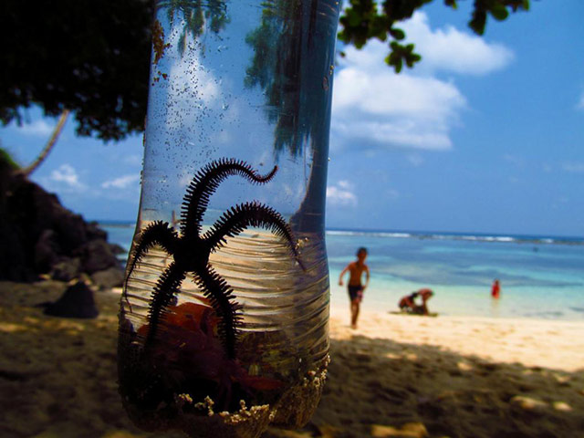 National Geographic Kids: 2012 International Photography Contest for Kids 