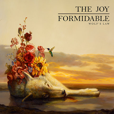 agoodlook0902: The Joy Formidable album