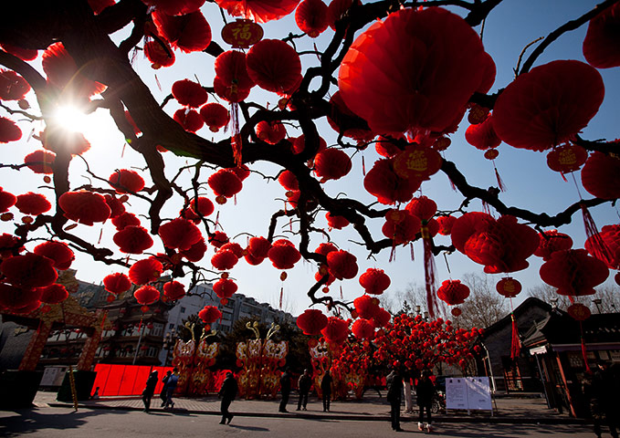 24 Hours: Beijing, China: Visitors stroll near trees decorated with red lanterns