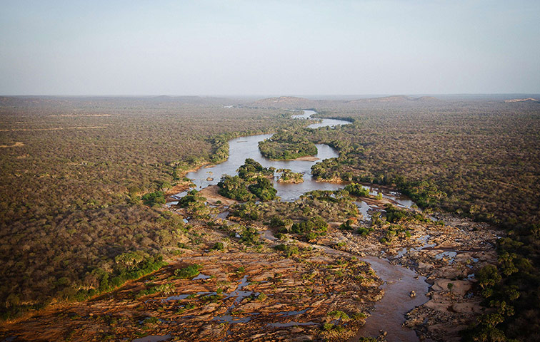 Week in wildlife: An aerial view of Kora National Park in Kenya