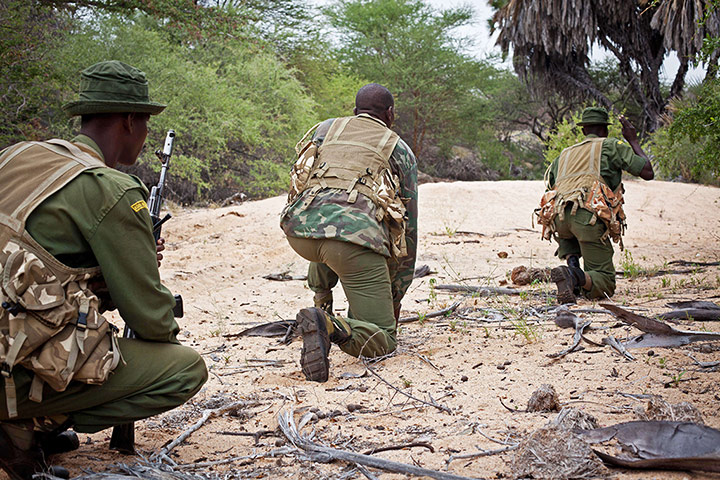 Week in wildlife: Kenya Wildlife Service (KWS) anti-poaching