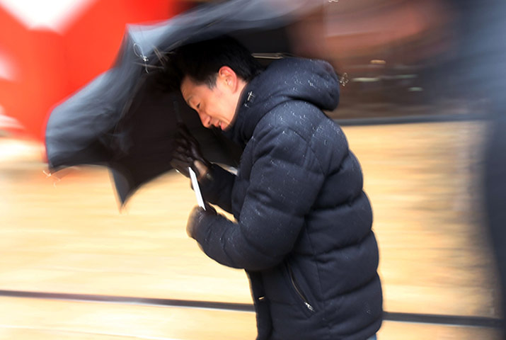 us blizzard: new york umbrella