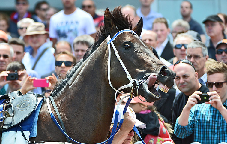 Best of the week: Melbourne Racing