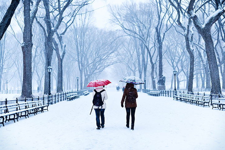 US snow: Poet's Walk in Central Park during Snowstorm Nemo