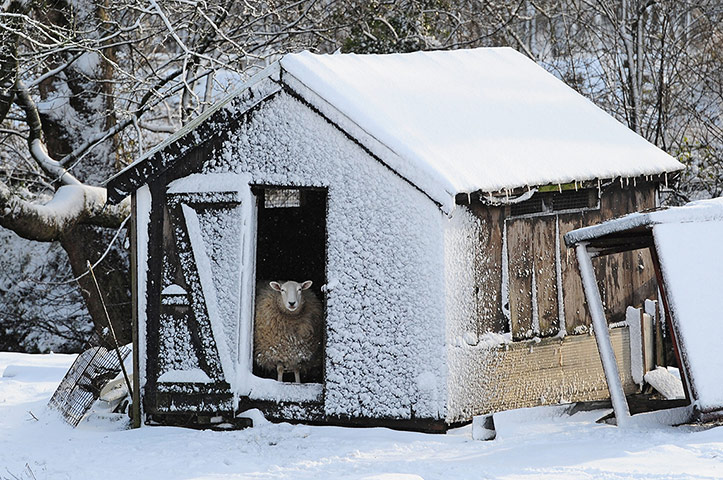 20 Photos: Winter weather in Penistone, South Yorkshire