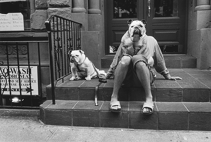 Elliott Erwitt: New York, 2000