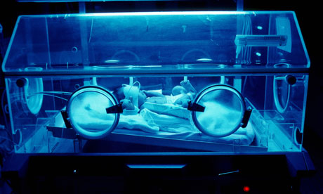 incubation programme start ups