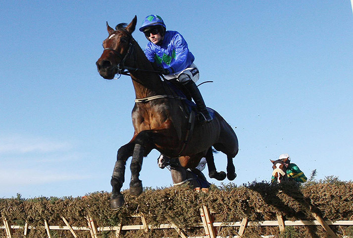 Cheltenham ten to follow: HURRICANE FLY