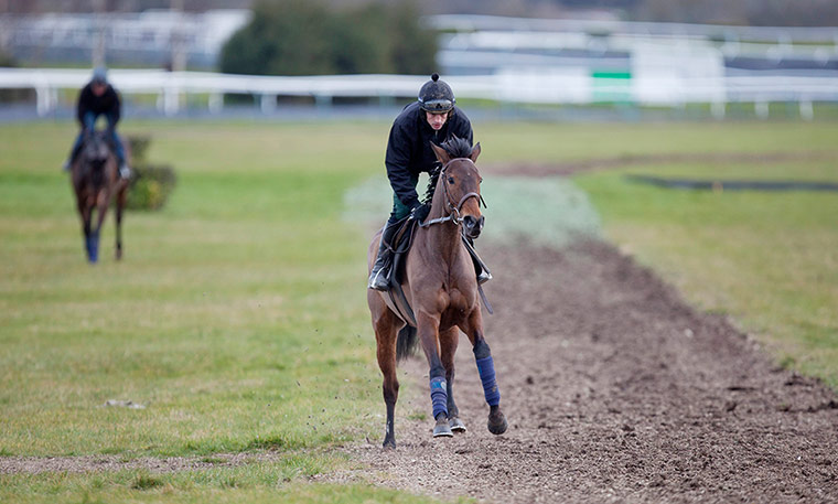 Cheltenham ten to follow: QUEVEGA