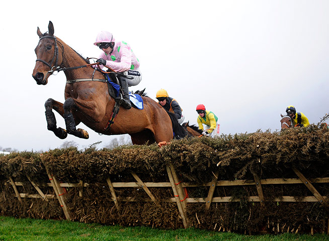 Cheltenham ten to follow: PONT ALEXANDRE