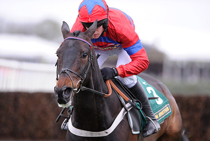 Cheltenham ten to follow: SPRINTER SACRE