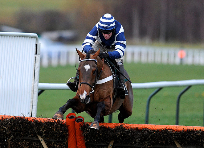 Cheltenham ten to follow: OSCAR WHISKY 