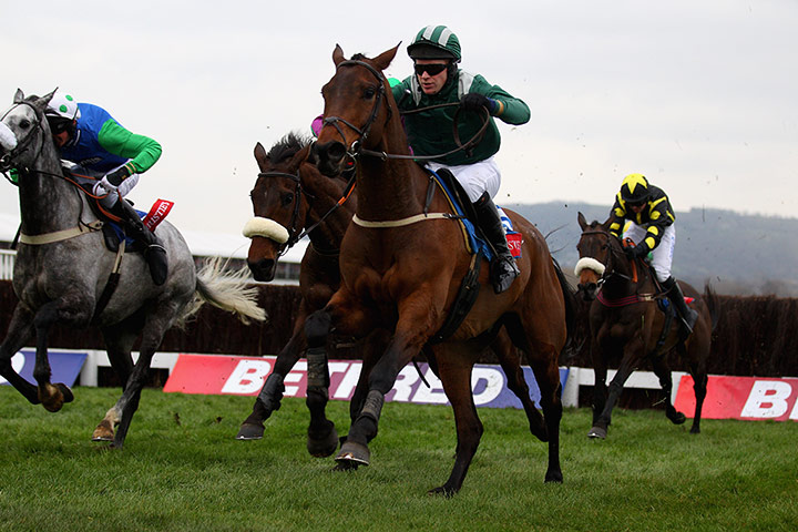 Cheltenham ten to follow: SALSIFY