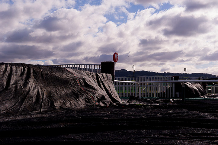 Cheltenham Festival: Cheltenham Racing festival 2013